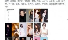 麦阳徒弟爆料大姐视频大全,大姐视频大全背后的惊人真相